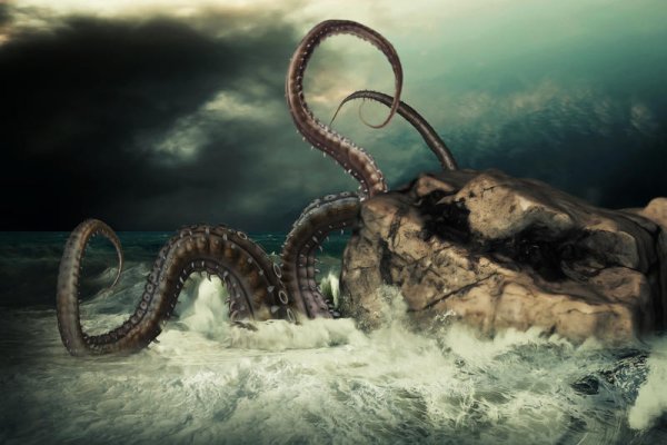Kraken url