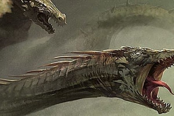 Kraken это современный маркетплейс